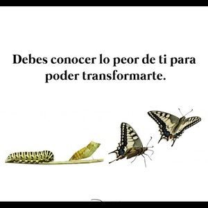 Meet your Posher, Ariel